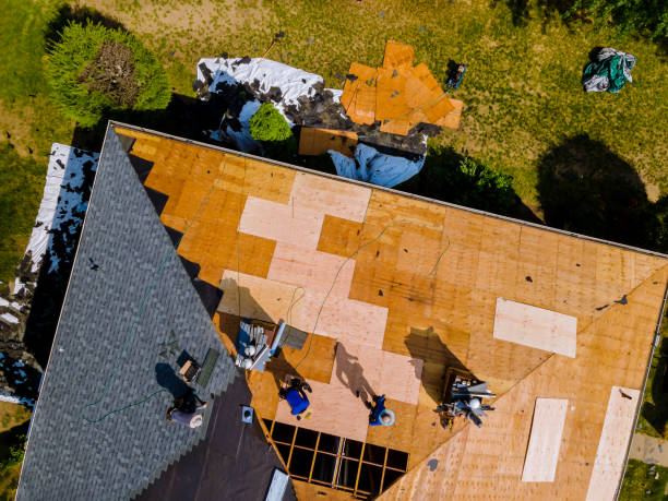 Best Commercial Roofing Services  in Collins, MS