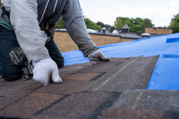 Best Roof Maintenance Services  in Collins, MS