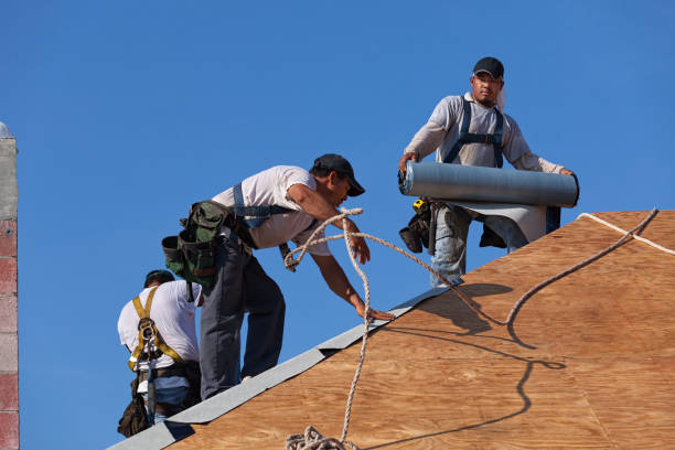 Best Roof Leak Repair  in Collins, MS