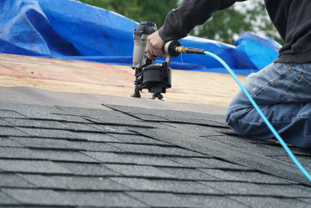 Best Flat Roof Repair Services  in Collins, MS