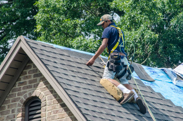 Best Roof Waterproofing Services  in Collins, MS